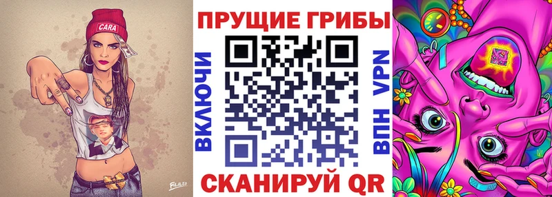 Галлюциногенные грибы MAGIC MUSHROOMS  Купить где  Калининск 